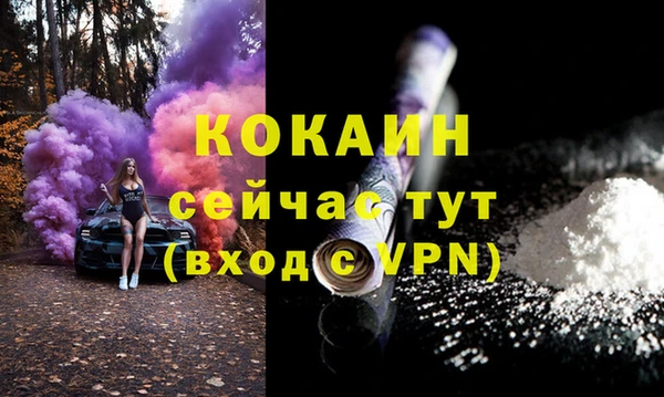 дживик Каменка
