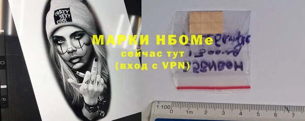 дживик Каменка