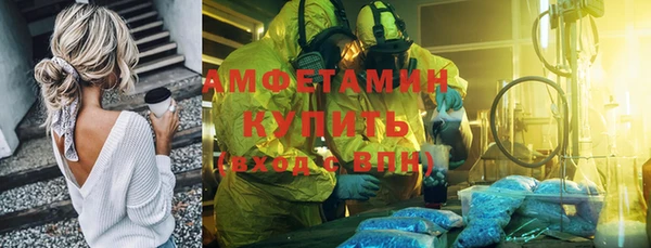 сатива Каменск-Шахтинский
