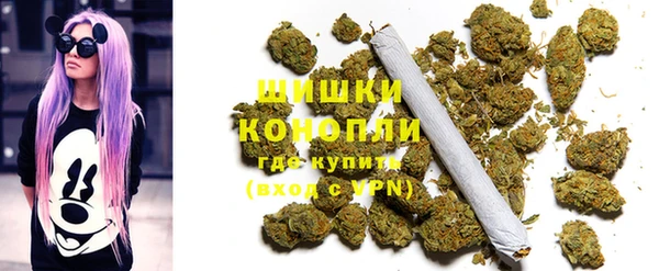 дурь Каменногорск