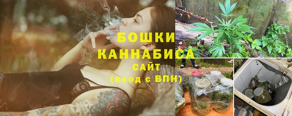 сатива Каменск-Шахтинский
