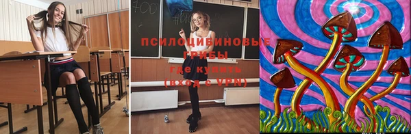 дурь Каменногорск
