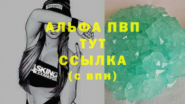 дживик Каменка