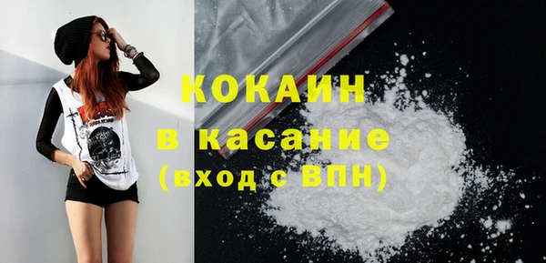 дживик Каменка