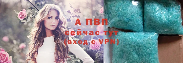 сатива Каменск-Шахтинский