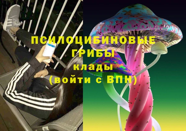 дурь Каменногорск